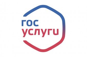 Доступ к порталу www.gosuslugi.ru/ и www.nalog.ru для Физ.лиц
